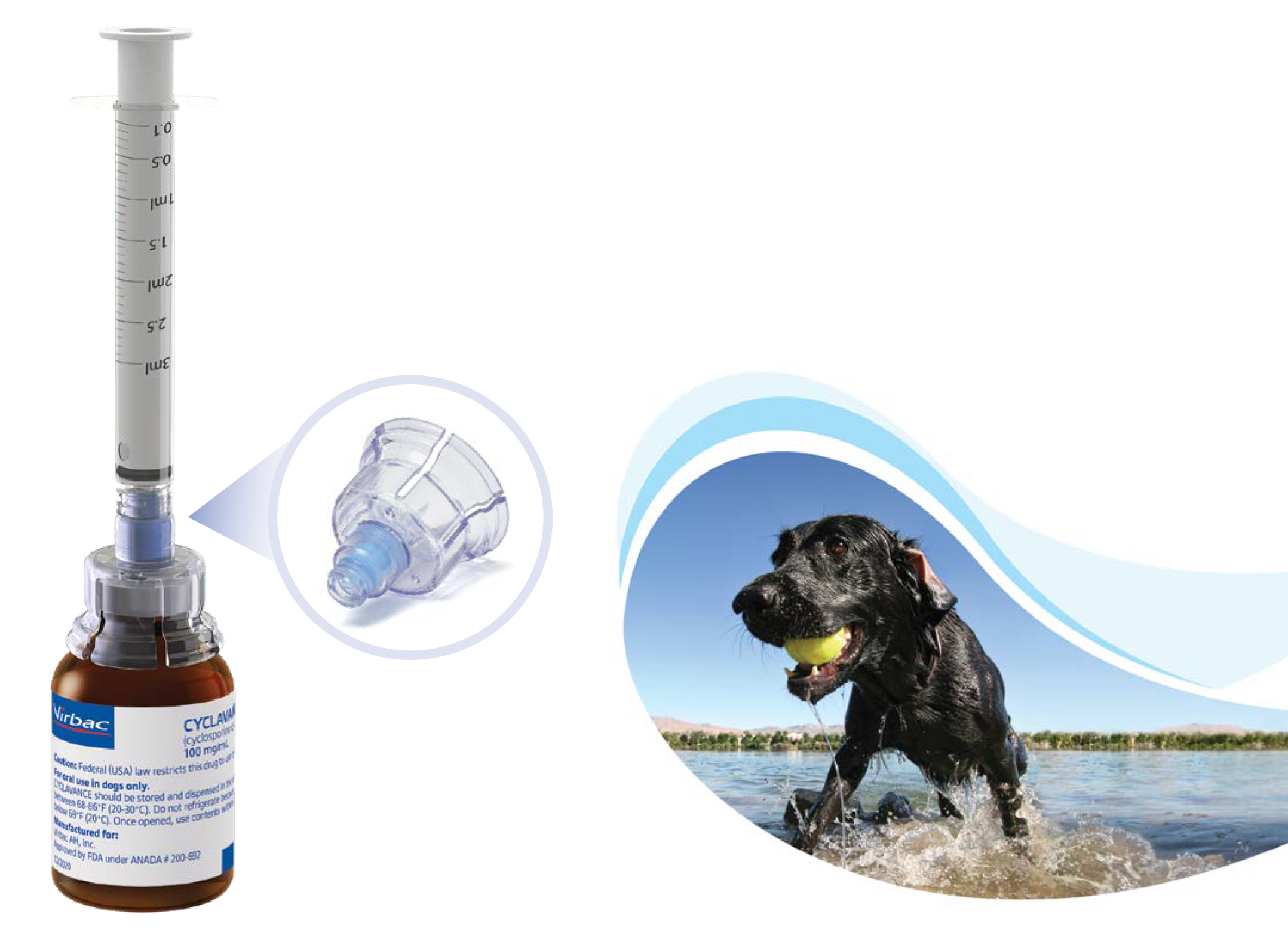 Buy cyclosporine hot sale for dogs